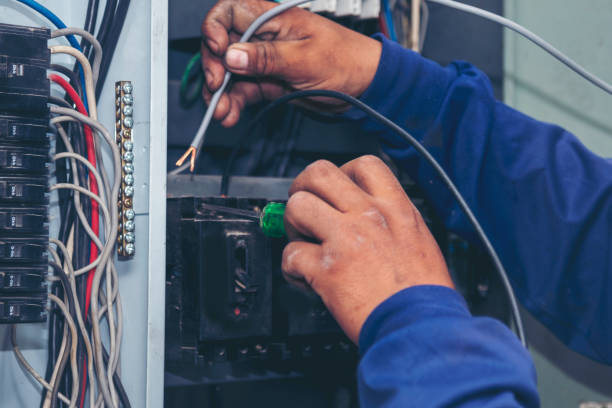 Best Local Electrician Companies  in Rapids, NY
